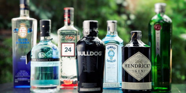 Infografías Curiosidades sobre la ginebra